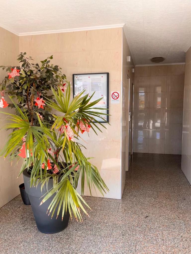 Coco Apartment Bergamo Exteriör bild